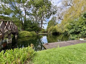 Photo 12- click for photo gallery